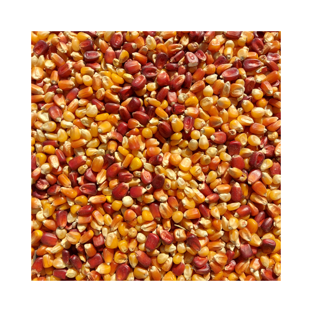 Kukorica mix (kimérve/kg)