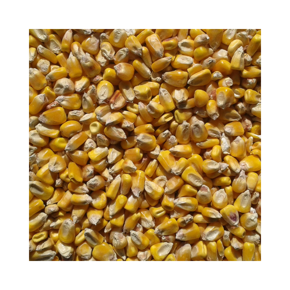 Kukorica (kimérve/kg)